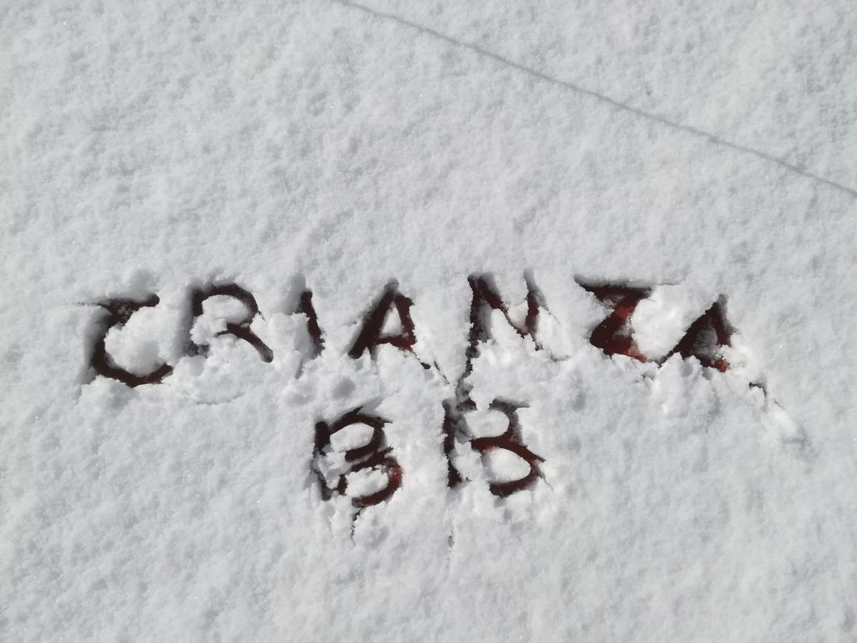 Crianza B&B Neapol Exteriér fotografie